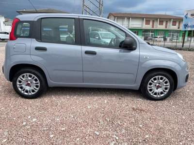 Fiat Panda 1.0 FireFly S&amp;S Hybrid Grigio usata San Pietro in Gu