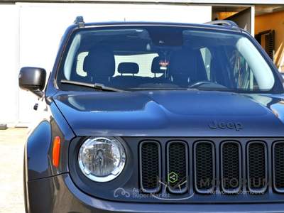 Jeep Renegade 2.0 Mjt 170CV 4WD  Trailhawk Grigio usata Tricase