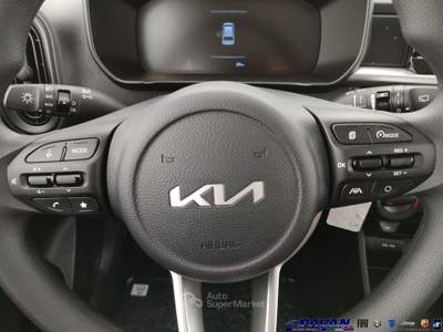 Kia Picanto 1.0 12V GPL 5 porte Urban Grigio usata Piove di Sacco