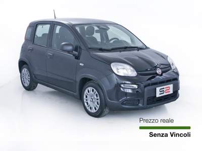 Fiat Panda 1.0 FireFly S&S Hybrid / Pack City / Neopatentati *PREZZO-CHIAVI-IN-MANO* Nero usata Feltre