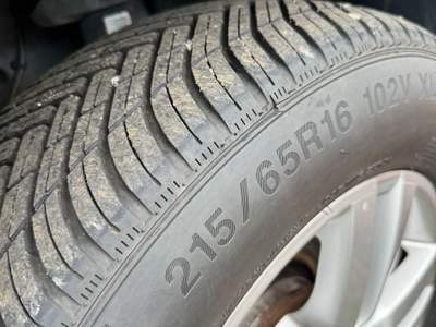 Volkswagen Tiguan VW Tiguan BLUEMOTION usata Formia