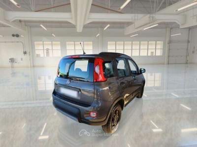 Fiat Panda Panda III 2021 4x4 0.9 t.air t. Wild 4x4 s Grigio usata Roma