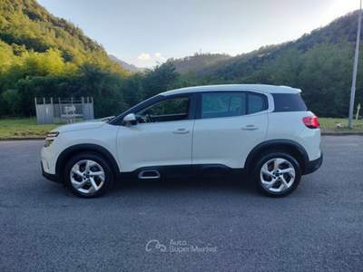 Citroen C5 Aircross C5 Aircross BlueHDi 130 S&S Business Bianco usata Bagni di Lucca