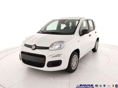 Fiat Pandina Panda 1.0 FireFly 65 CV Hybrid Pop Bianco usata Piove di Sacco
