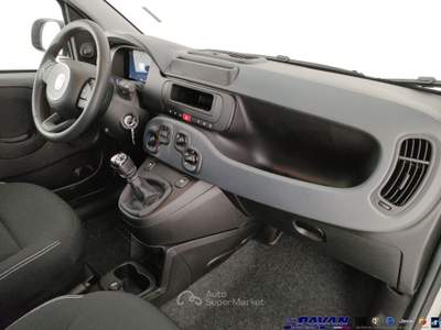 Fiat Pandina Panda 1.0 FireFly 65 CV Hybrid Pop Bianco usata Piove di Sacco