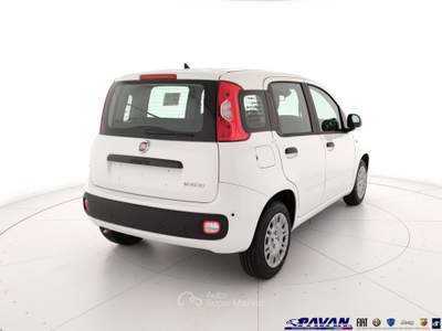 Fiat Pandina Panda 1.0 FireFly 65 CV Hybrid Pop Bianco usata Piove di Sacco