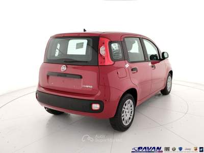 Fiat Pandina Panda 1.0 FireFly 65 CV Hybrid Pop Rosso usata Piove di Sacco