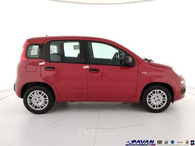 Fiat Pandina Panda 1.0 FireFly 65 CV Hybrid Pop Rosso usata Piove di Sacco