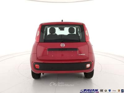 Fiat Pandina Panda 1.0 FireFly 65 CV Hybrid Pop Rosso usata Piove di Sacco