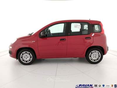 Fiat Pandina Panda 1.0 FireFly 65 CV Hybrid Pop Rosso usata Piove di Sacco