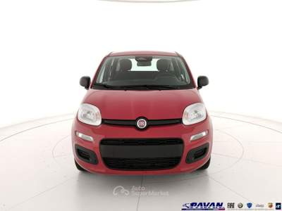 Fiat Pandina Panda 1.0 FireFly 65 CV Hybrid Pop Rosso usata Piove di Sacco