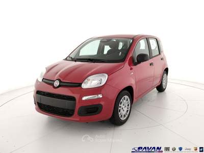 Fiat Pandina Panda 1.0 FireFly 65 CV Hybrid Pop Rosso usata Piove di Sacco