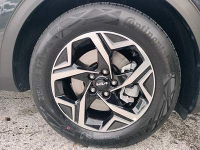 Kia Sportage Sportage 1.6 CRDi MHEV DCT Business Grigio usata Bagni di Lucca