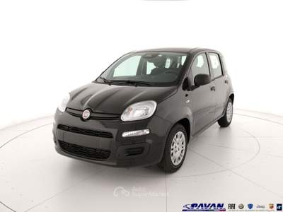 Fiat Pandina Panda 1.0 FireFly 65 CV Hybrid Pop Nero usata Piove di Sacco