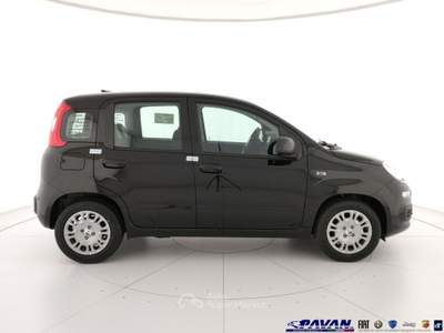 Fiat Pandina Panda 1.0 FireFly 65 CV Hybrid Pop Nero usata Piove di Sacco