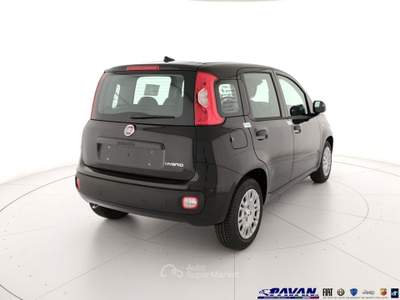 Fiat Pandina Panda 1.0 FireFly 65 CV Hybrid Pop Nero usata Piove di Sacco