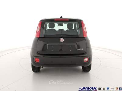 Fiat Pandina Panda 1.0 FireFly 65 CV Hybrid Pop Nero usata Piove di Sacco