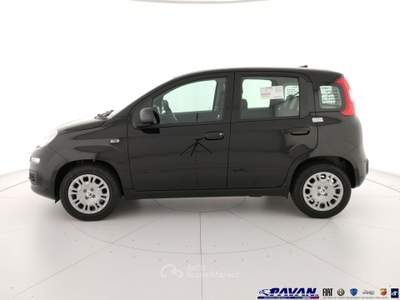 Fiat Pandina Panda 1.0 FireFly 65 CV Hybrid Pop Nero usata Piove di Sacco