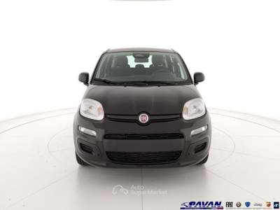Fiat Pandina Panda 1.0 FireFly 65 CV Hybrid Pop Nero usata Piove di Sacco