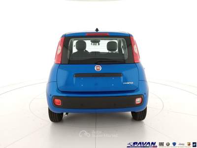 Fiat Pandina Panda 1.0 FireFly 65 CV Hybrid Pop Blu/Azzurro usata Piove di Sacco