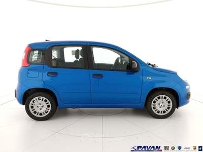 Fiat Pandina Panda 1.0 FireFly 65 CV Hybrid Pop Blu/Azzurro usata Piove di Sacco