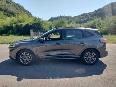 Ford Kuga Kuga 1.5 EcoBlue 120 CV 2WD ST-Line Aut. Grigio usata Bagni di Lucca