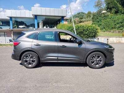 Ford Kuga Kuga 1.5 EcoBlue 120 CV 2WD ST-Line Aut. Grigio usata Bagni di Lucca