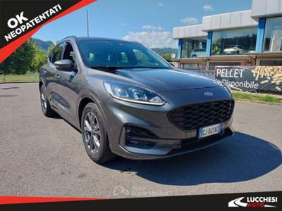Ford Kuga Kuga 1.5 EcoBlue 120 CV 2WD ST-Line Aut. Grigio usata Bagni di Lucca