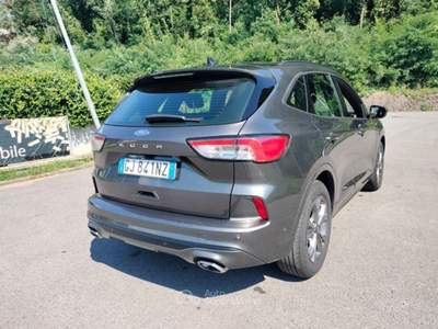 Ford Kuga Kuga 1.5 EcoBlue 120 CV 2WD ST-Line Aut. Grigio usata Bagni di Lucca