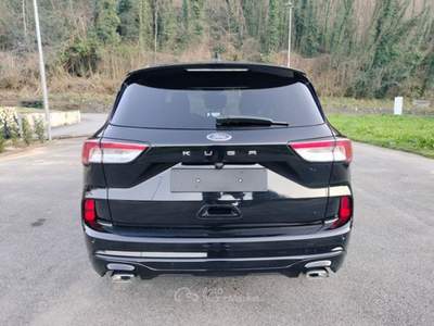 Ford Kuga Kuga 2.0 EcoBlue 120 CV aut. 2WD ST-Line Nero usata Bagni di Lucca