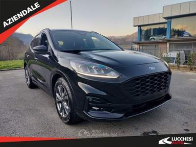 Ford Kuga Kuga 2.0 EcoBlue 120 CV aut. 2WD ST-Line Nero usata Bagni di Lucca