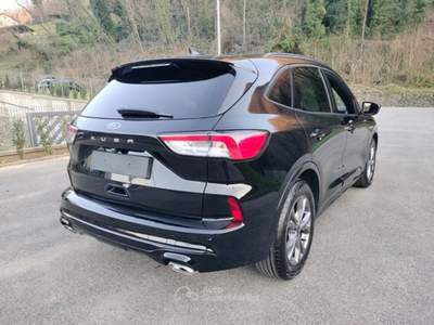 Ford Kuga Kuga 2.0 EcoBlue 120 CV aut. 2WD ST-Line Nero usata Bagni di Lucca