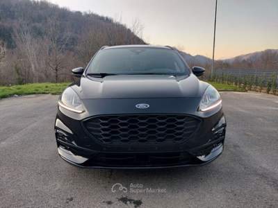 Ford Kuga Kuga 2.0 EcoBlue 120 CV aut. 2WD ST-Line Nero usata Bagni di Lucca