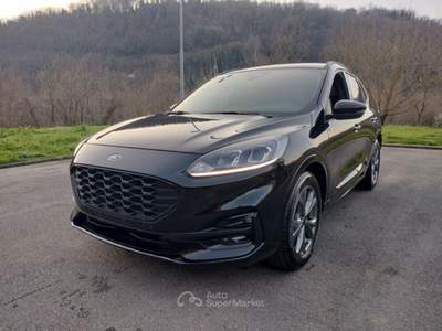 Ford Kuga Kuga 2.0 EcoBlue 120 CV aut. 2WD ST-Line Nero usata Bagni di Lucca