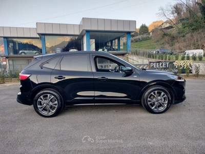 Ford Kuga Kuga 2.0 EcoBlue 120 CV aut. 2WD ST-Line Nero usata Bagni di Lucca