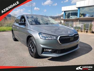 Skoda Fabia 1.0 MPI Evo 59KW YOUNG EDITION Grigio usata Bagni di Lucca