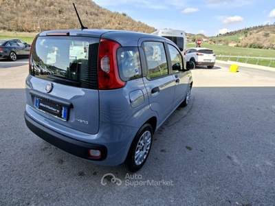Fiat Panda 1.0 FireFly Hybrid City Life LEGGE 104 IVA ESPOSTA Grigio usata Sant'Angelo in vado