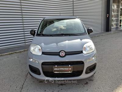 Fiat Panda 1.0 FireFly Hybrid City Life LEGGE 104 IVA ESPOSTA Grigio usata Sant'Angelo in vado