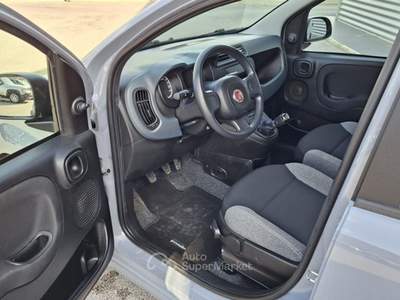 Fiat Panda 1.0 FireFly Hybrid City Life LEGGE 104 IVA ESPOSTA Grigio usata Sant'Angelo in vado