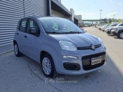 Fiat Panda 1.0 FireFly Hybrid City Life LEGGE 104 IVA ESPOSTA Grigio usata Sant'Angelo in vado