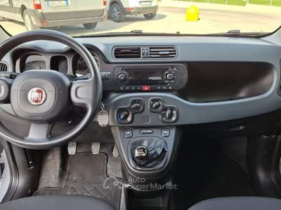 Fiat Panda 1.0 FireFly Hybrid City Life LEGGE 104 IVA ESPOSTA Grigio usata Sant'Angelo in vado