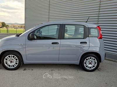 Fiat Panda 1.0 FireFly Hybrid City Life LEGGE 104 IVA ESPOSTA Grigio usata Sant'Angelo in vado
