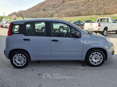 Fiat Panda 1.0 FireFly Hybrid City Life LEGGE 104 IVA ESPOSTA Grigio usata Sant'Angelo in vado