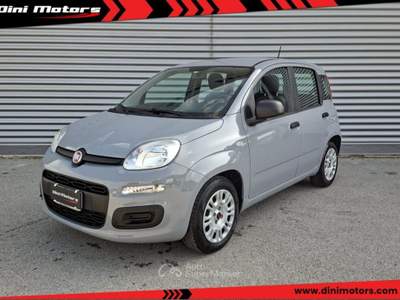Fiat Panda 1.0 FireFly Hybrid City Life LEGGE 104 IVA ESPOSTA Grigio usata Sant'Angelo in vado