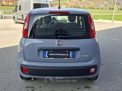 Fiat Panda 1.0 FireFly Hybrid City Life LEGGE 104 IVA ESPOSTA Grigio usata Sant'Angelo in vado