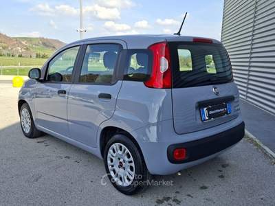 Fiat Panda 1.0 FireFly Hybrid City Life LEGGE 104 IVA ESPOSTA Grigio usata Sant'Angelo in vado