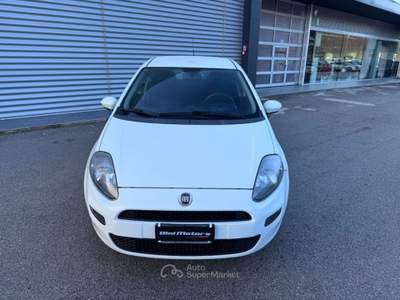 Fiat Punto 1.3 MJT 95CV S&S 5 porte Van Easy 4 posti Bianco usata Sant'Angelo in vado