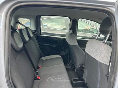 Fiat Panda FireFly S&S Hybrid City Life Grigio usata Cercola