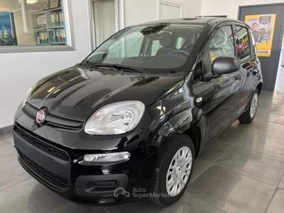 Fiat Panda Panda 1.0 FireFly S&S Hybrid Icon Nero usata REGGIO EMILIA