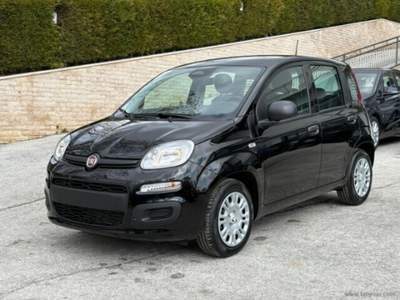 Fiat Panda Panda 1.0 FireFly S&S Hybrid Icon Nero usata REGGIO EMILIA